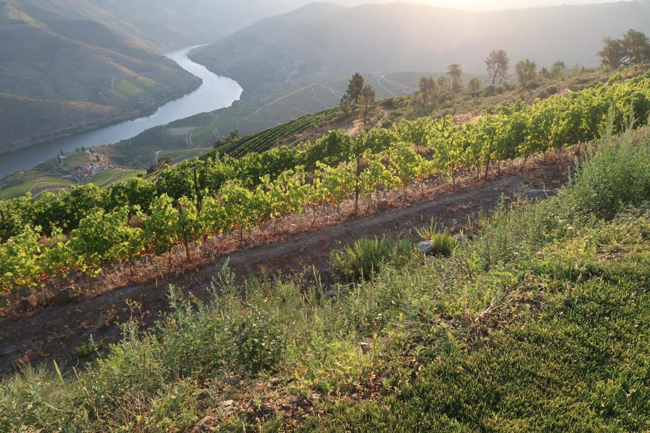 Stay At The Winemaker Ervedosa do Douro Exterior photo