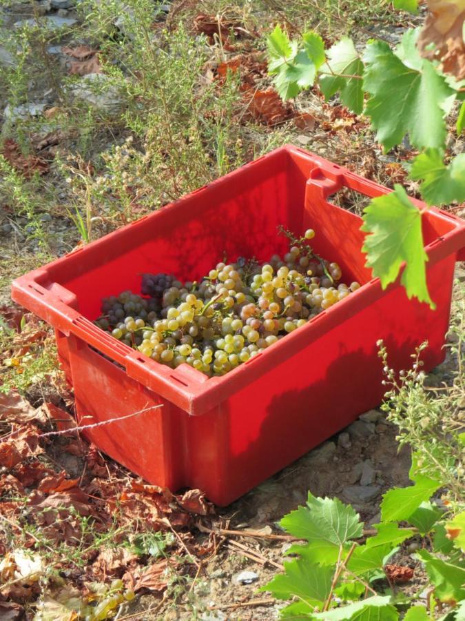 Stay At The Winemaker Ervedosa do Douro Exterior photo
